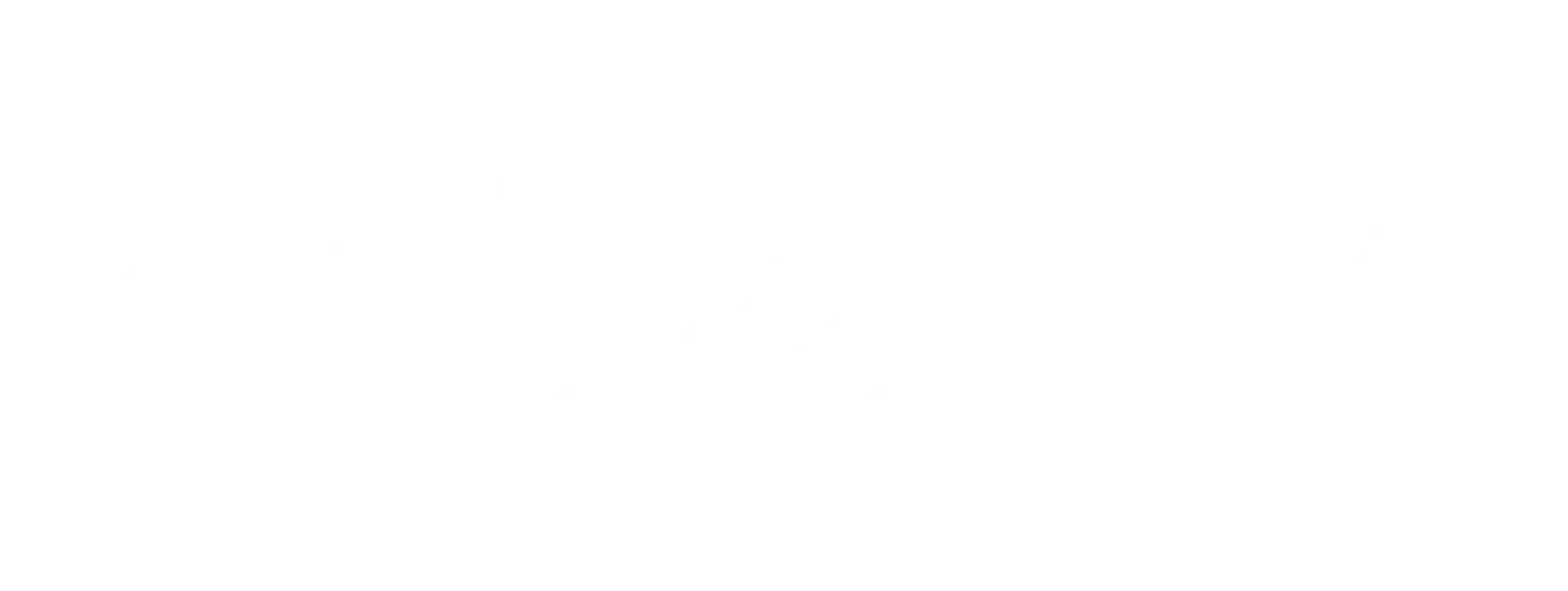 driveBm logo white