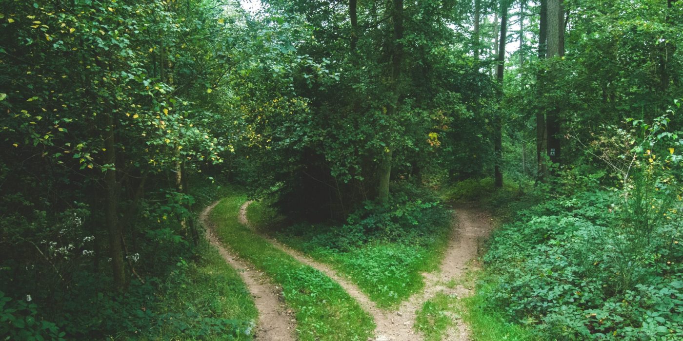 The Adoption Gap: Why Customers Don't Change
